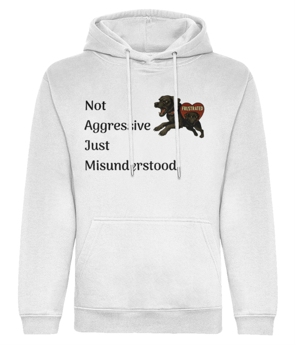 Hoodie LAB Frustrated