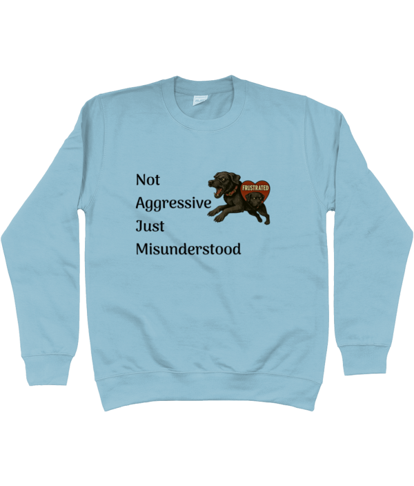 Sweatshirt LAB Frustrated